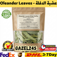 Oleander Leaves Dried Dafla Natural Fresh Herb Organic AA دفلى دفلا عشبة الدفلة