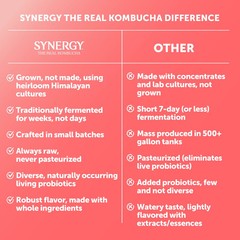 Synergy The Real Kombucha Guava Goddess, 16 fl oz
