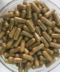 Pygeum Bark Extract Capsules 30:1 High quality Support healthy prostate