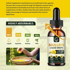 GORNVB 2 Pack Mullein Drops for Lungs – Lungs Cleanse and Respiratory Support…
