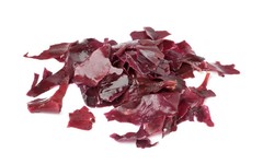 WholeSALE!! Wildcrafted Dulse Seaweed PREMIUM Powder-4 oz, 1 lb.