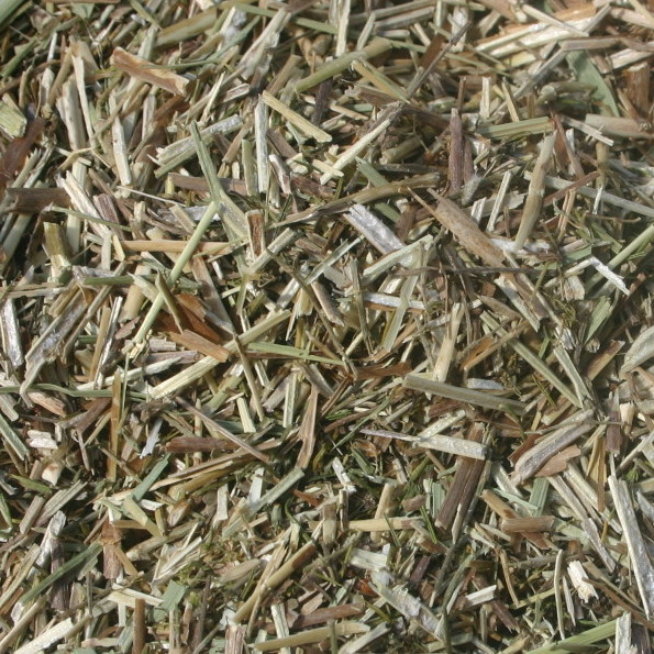 Boneset BULK HERBS 1 lb.