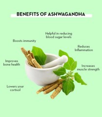 Ashwagandha 5% Withanolides- Extract powder 5X Stronger Fast Shipping 5000 Gram