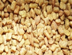 FENUGREEK & THYME 100 Vegetarian Capsules
