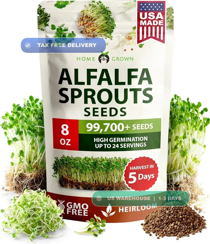 Non-GMO Heirloom Alfalfa Sprouting Seeds – Bulk Organic Vegetable Seeds