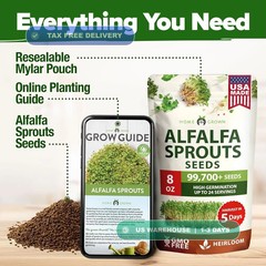 Non-GMO Heirloom Alfalfa Sprouting Seeds – Bulk Organic Vegetable Seeds