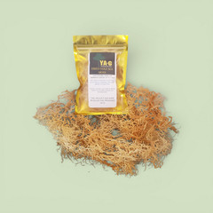 YA-G Dried Gold Seamoss