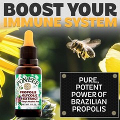 Brazil Green Bee Propolis Liquid Extract – Alcohol-Free, 30ML, Natural Health Bo