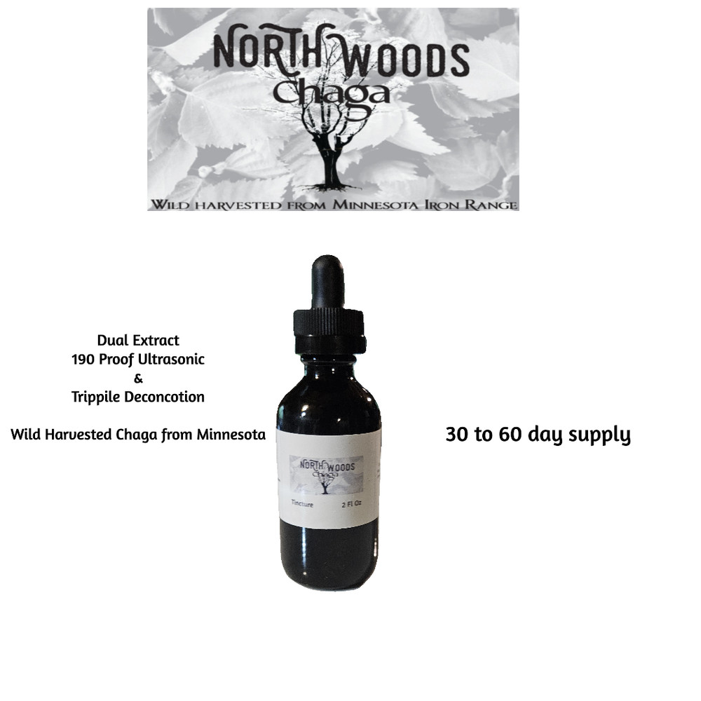 Chaga Tincture Dual Extract – Adaptogenic – Anti Inflammatory – Immune Support