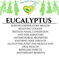 Eucalyptus Leaf Tincture Natural Organic Liquid Herbal Drop 2 oz Respiratory Aid