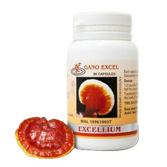 1 Set ( 1 Bottle Gano Excel Excellium 30’s + 1 Bottle Ganoderma Lucidum 30’s)