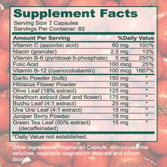 Blood Pressure Support Enhance Myocardial Contractility Increase Cardiac Output