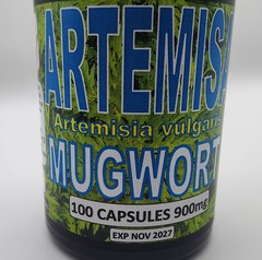 Artemisa hierba 100 Capsulas ,artemisia vulgaris, Mugwort herbal capsules 900mg