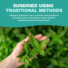 , Spearmint Tea Bags (100 Herbal Tea Bags) |Refreshing Mint Tea | Non-GMO | R…