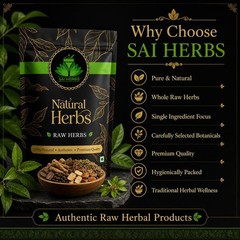 SAI HERBS Amaltas Phali – Fali Amaltas – Amaltash Phali – Cassia Fistula