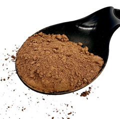 Reishi Mushroom Powder 20g(0.7oz) – 1.9kg(4.2lb) Ganoderma lucidum