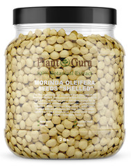 2500 Moringa Oleifera Seeds Kernel 2 lbs. Jar Bulk SHELLED Fresh