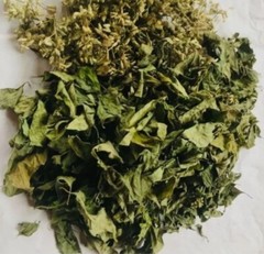 Dried Mexican Dream Herb CALEA ZACATECHICHI Lucid Pure 100% ORGANIC Herbal Tea