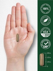 Mulberry Leaf Extract | 3000mg | 100 Capsules | Non-GMO | by Carlyle
