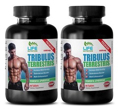 testosterone booster drink – TRIBULUS  EXTRACT 1000MG 2B – tribulus chosen