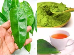 100% Organic Pure SOURSOP Graviola Leaf Guanabana Muricata Powder Hojas Annona