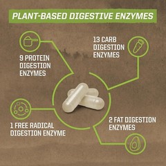 Sunwarrior Enzorb Plant-Based Vegan Digestive Enzymes Spore Based Probiotic 90ct