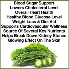 3 PACK Best Herb Bitter Melon 1000mg Blood Sugar Support Supplement 180 Capsules