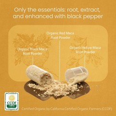 NaturaLife Labs Organic Maca Root – Black, Red & Yellow 150 Count (Pack of 1)