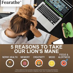 Lions Mane Mushroom extract capsules for Brain Support and Immune Health