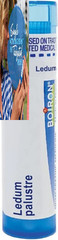 Boiron Ledum Palustre 30C Homeopathic Medicine for 80 Count (Pack of 1)