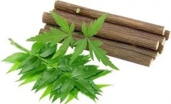 Organic Raw Dry Licoric Neem Tree Root Natural Tooth brush Stick (100 pieces)