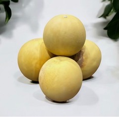 Natural whole Hanzal Organic Herb Citrullus Colocynthis Incense الحنظل حنظل حب