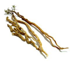Tong_kat A_li Root Powder Eurycoma longi_folia Jack Organic Tracking NO
