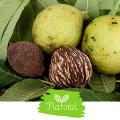 Black Walnut Hull | Whole or Powder | Natural Detox Parasite Support | 1/4/8 oz