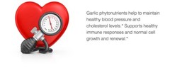 Neolife Garlic Allium Complex