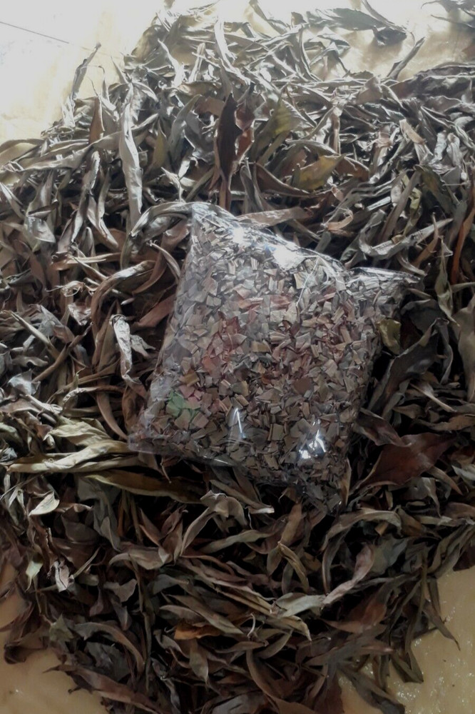 Best Ceylon Dried Thebu Cut Leaf Canereed Costus 100%Organic Insulin Leaves 100g