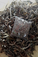 Best Ceylon Dried Thebu Cut Leaf Canereed Costus 100%Organic Insulin Leaves 100g