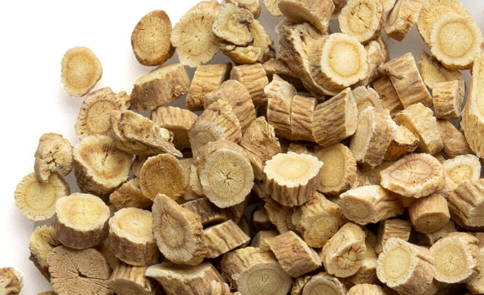 Astragalus Root – Cut & Sifted Herb NY Herb 2oz, 4oz, 8oz, 1lb