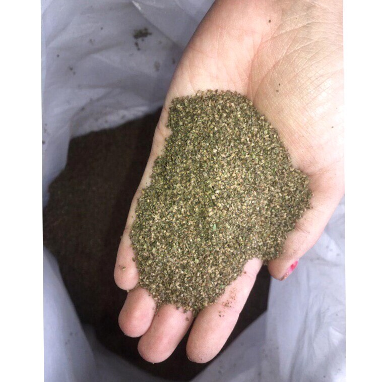 Stingign Nettle Seeds ( Urtica dioica ) ORGANIC from Carpathian mountain UA