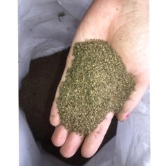 Stingign Nettle Seeds ( Urtica dioica ) ORGANIC from Carpathian mountain UA