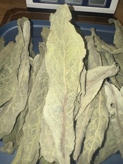 Whole Dried Mullein Leaves 4 oz Wildcrafted Four Prong Herbs Herbal Tea