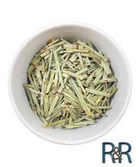 Mexican Cola De Caballo Field Horsetail (Equisetum arvense) Fresh Batch Herbs