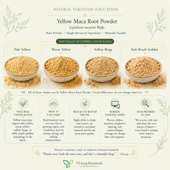 Yellow Maca Root Powder 1oz – 32 oz Pure Fine Lepidium Meyenii Premium Milled