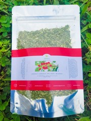 JAMAICAN DOG BLOOD HERB(FERTILITY BUSH )RIVINA HUMILIS