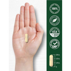Bitter Melon Capsules | 2500mg | 200 Count | Non-GMO & Gluten Free | by Carlyle