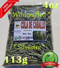 4oz Cola de Caballo Hierba Silvestre Horstail (Shavegrass)Wildcrafted 113g Tea