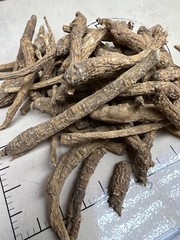 1 lb 5 years root Wisconsin grown American ginseng coarse fiber 威斯康辛州花旗參粗須