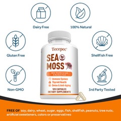 Sea moss, bladderwrack and burdock root capsules, immune and thyroid care