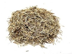 Shavegrass / Horsetail BULK HERBS 1 lb.
