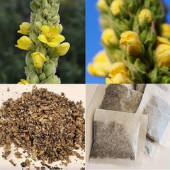 140 Tea Bags Mullein Leaf Tea Bag 100% Natural Detox & Respiratory Support